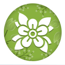 StopTime: Цветочный магазин. Доставка цветов StopTime: Цветочный магазин. Доставка цветов